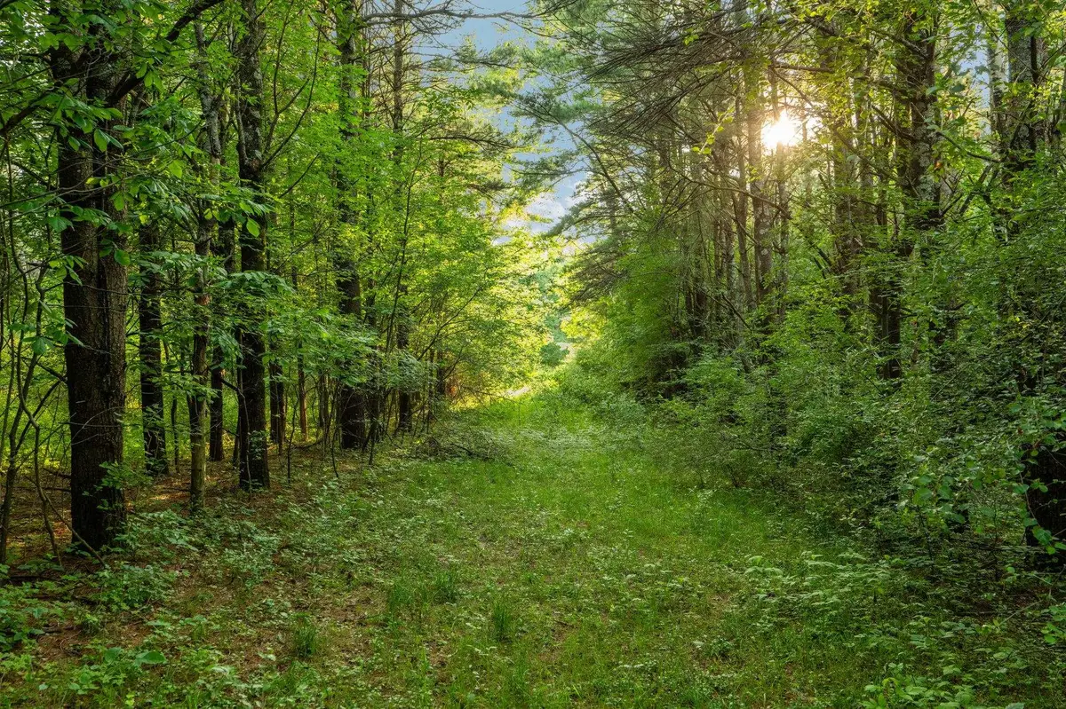 0 N Vincer, Northport, MI 49670 - #1
