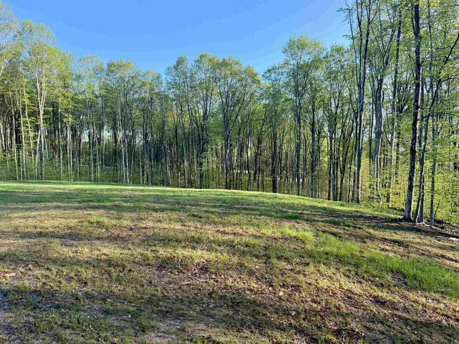 001 S Bright RD, Kasson, MI 49664 - #2