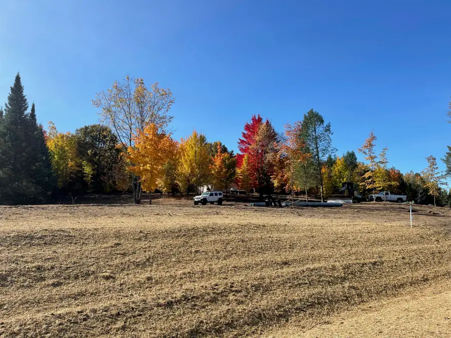 10825 SW Pine Ridge DR, Fife Lake, MI 49633 - #3