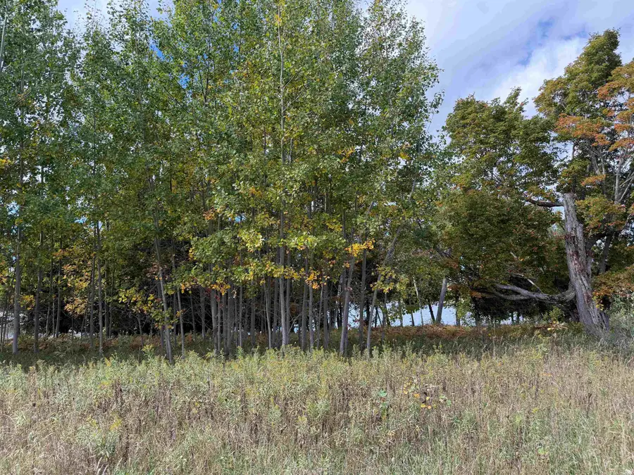 7777 Mulberry, Charlevoix, MI 49720 - #2