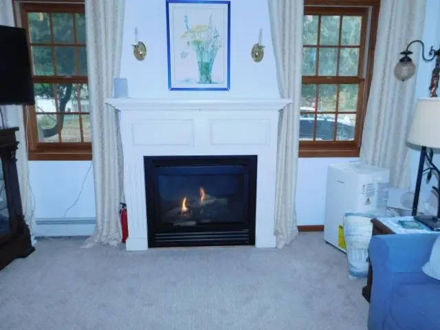 10205 W Niagara, Empire, MI 49630 - #3