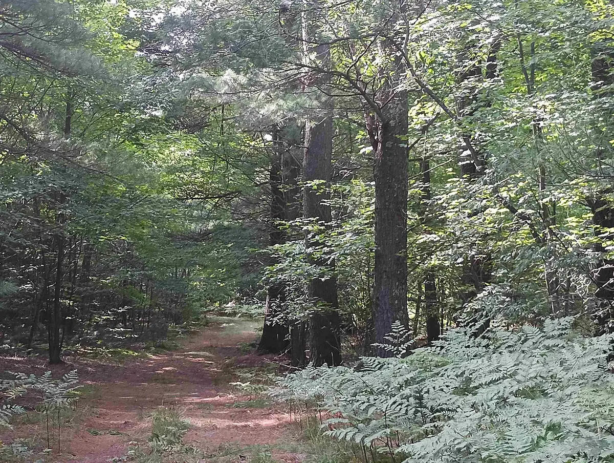 28 Acres Wallaker RD, Benzonia, MI 49617 - #1