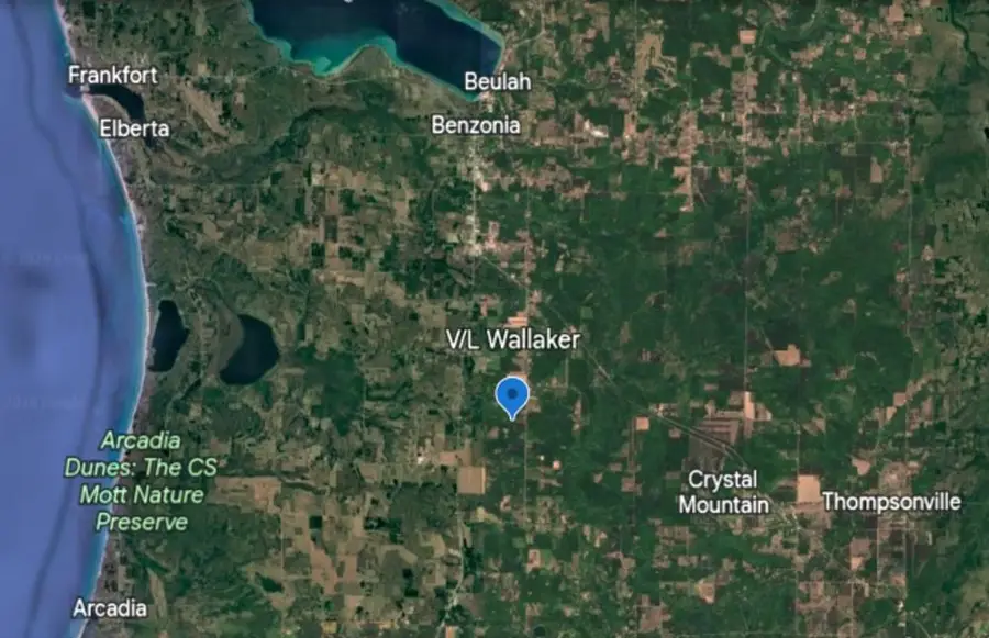 28 Acres Wallaker RD, Benzonia, MI 49617 - #3