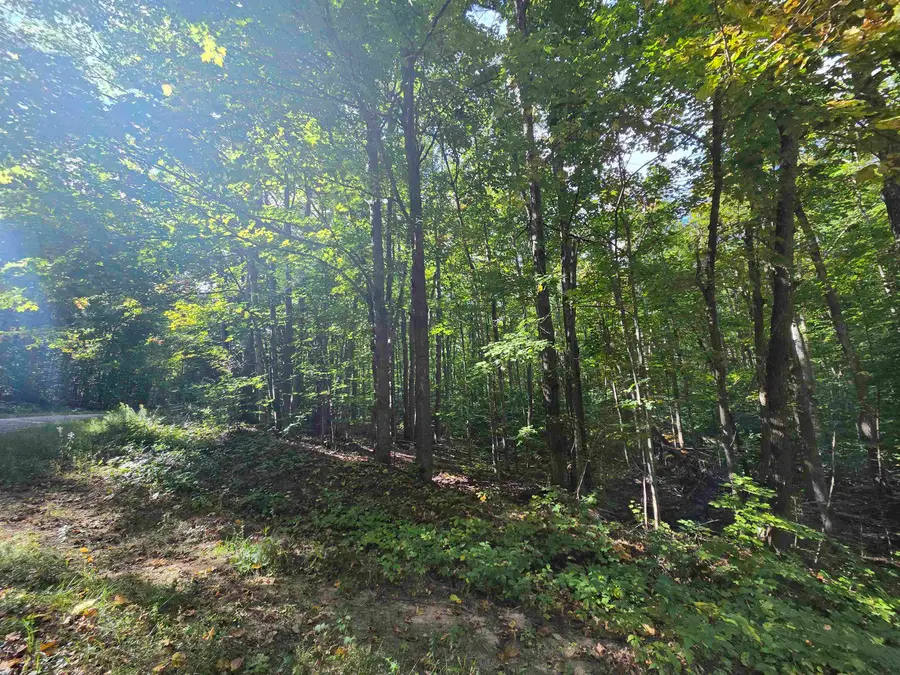 400 Dellwood CIR, Elmira, MI 49730 - #3