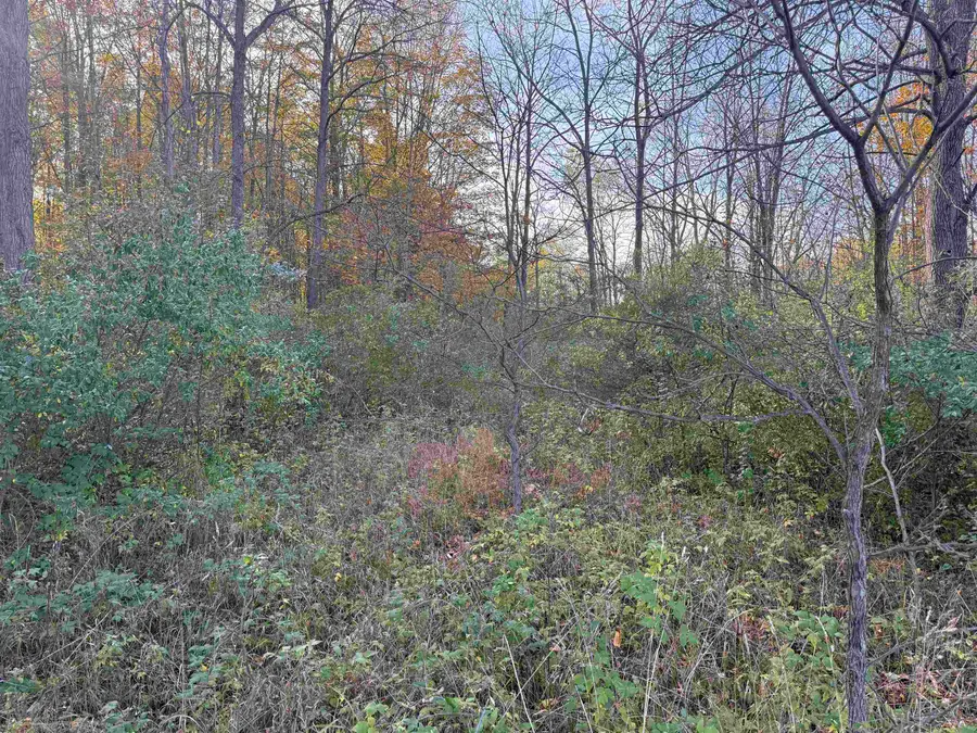 Parcel 2 S Tower RD, Kasson, MI 49664 - #3