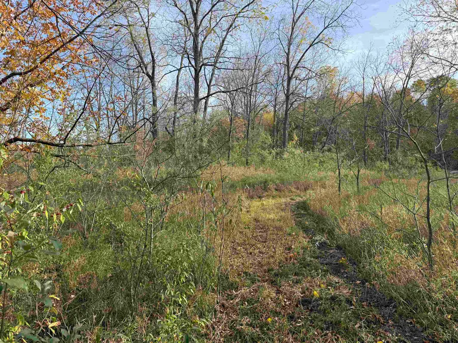 Parcel 4 S Tower RD, Kasson, MI 49664 - #3