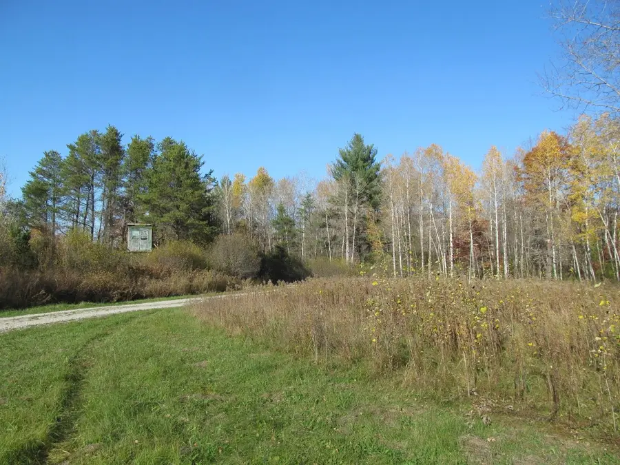 10189 W Forest, Marion, MI 49665 - #2