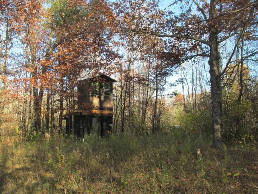 10189 W Forest, Marion, MI 49665 - #3