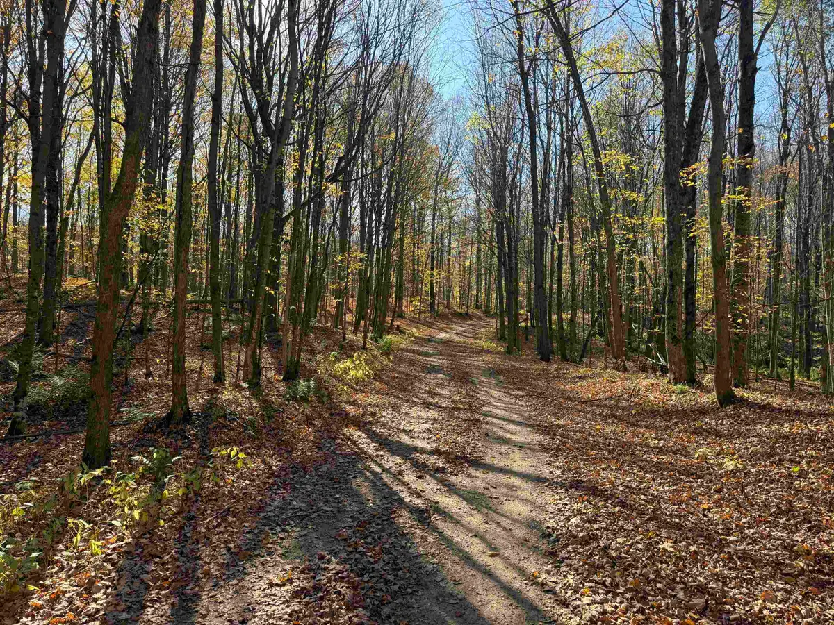 000 Lost Resort RD, Buckley, MI 49620 - #1