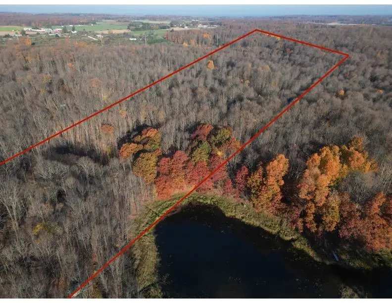 000 Lost Resort RD, Buckley, MI 49620 - #2