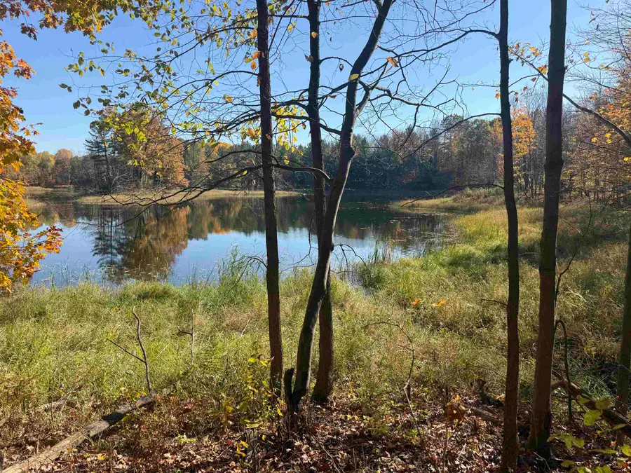 000 Lost Resort RD, Buckley, MI 49620 - #3