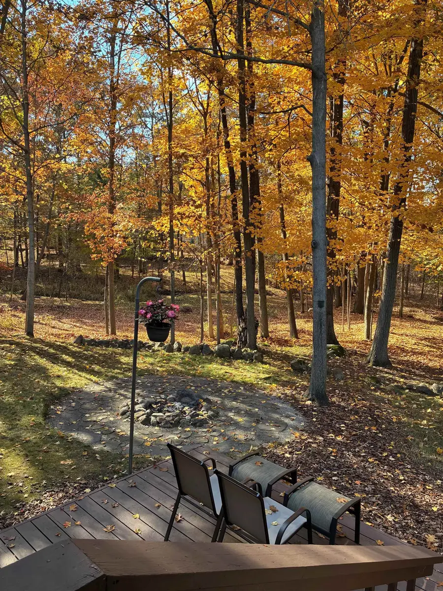 12703 Oneida TRL, Oneida, MI 48837 - #3