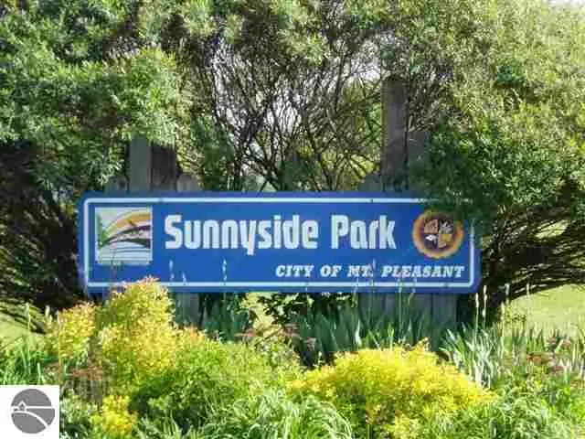 4 Patrick, Mount Pleasant, MI 48858 - Image #3