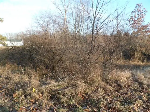 1012 Marietta, Lake Isabella, MI 48893 - #3