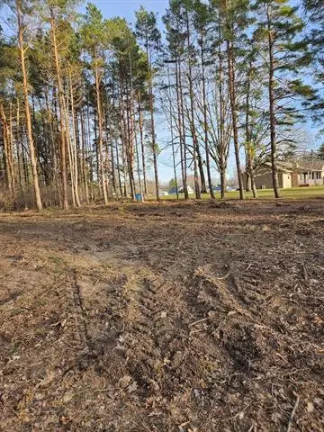 1015 Bundy, LakeIsabella, MI 48893