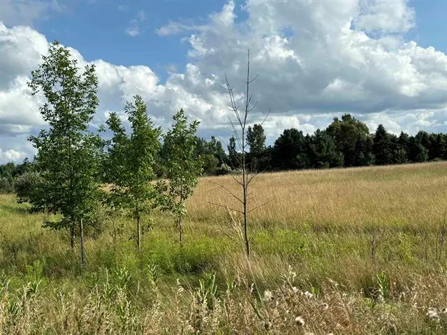 TBD Shepherd, Mount Pleasant, MI 48858 - Image #2