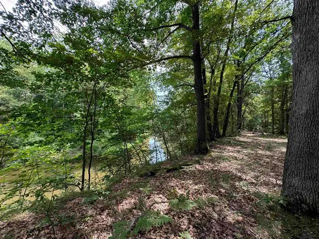 TBD River Run TRL, Canton, MI 48858 - Image #2