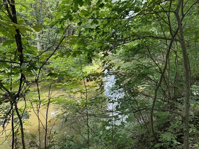 TBD River Run TRL, Canton, MI 48858 - Image #3