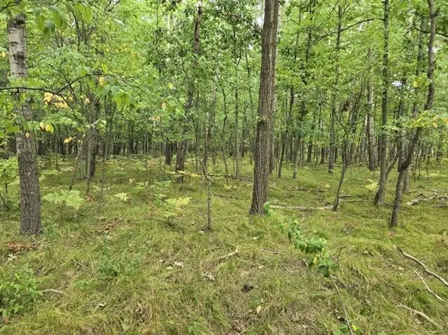 1009 Castle, Lake Isabella, MI 48893 - Image #2