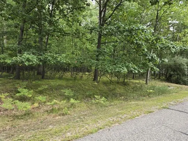 1009 Castle, Lake Isabella, MI 48893 - Image #3