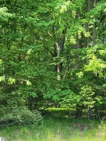 1144 Queensway DR, Lake Isabella, MI 48893 - Image #2