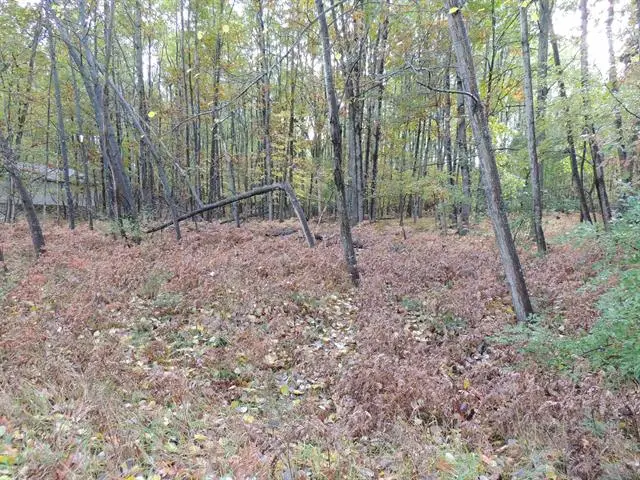 1013 & 1015 Granada DR, Lake Isabella, MI 48893 - Image #2