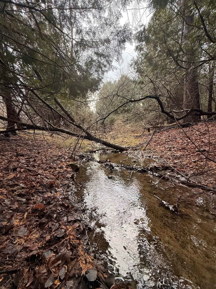 TBD Cedar, Deerfield, MI 48858 - Image #3