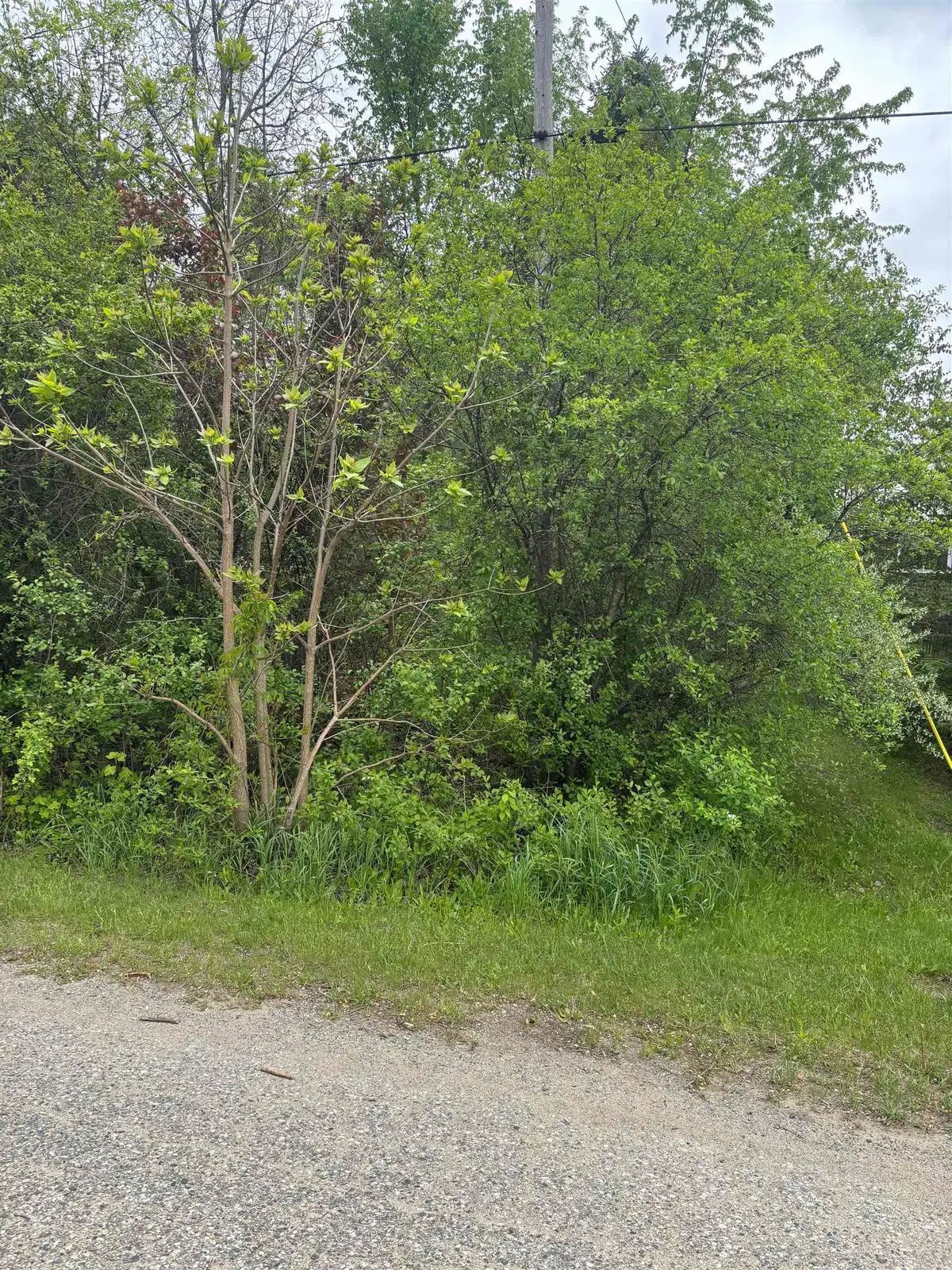 Lot 49 Leona, Mount Pleasant, MI 48858 - Image #1
