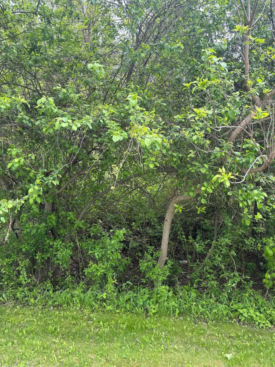 Lot 49 Leona, Mount Pleasant, MI 48858 - Image #3