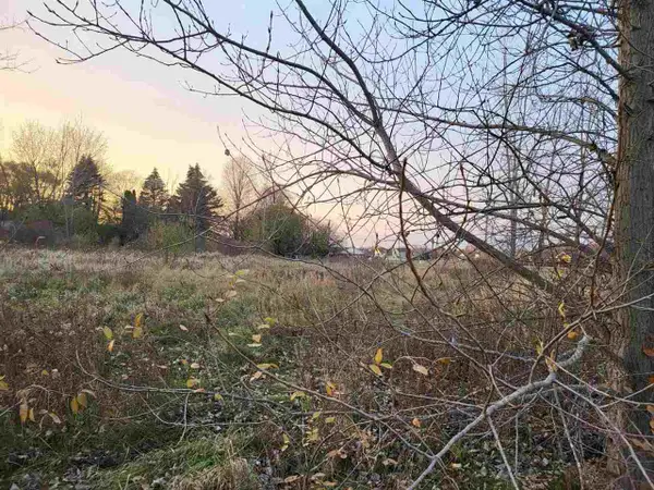 TBD Broomfield ST, MtPleasant, MI 48858