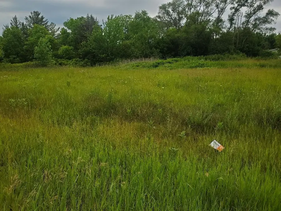 7205 E Pickard RD, Mount Pleasant, MI 48858 - #3