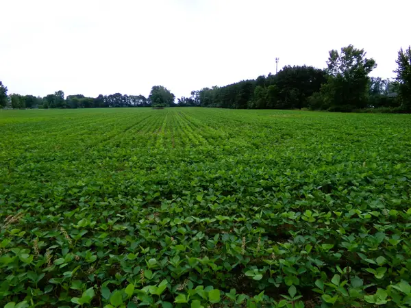 TBD Garfield, Saginaw, MI 48603