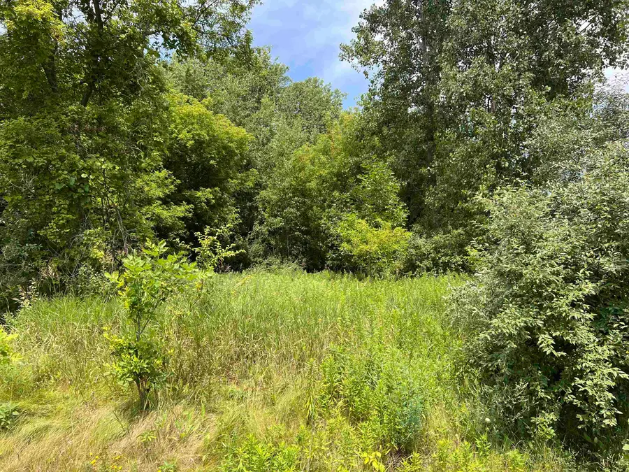 Lot 10 McDonald, Union, MI 48858 - Image #2