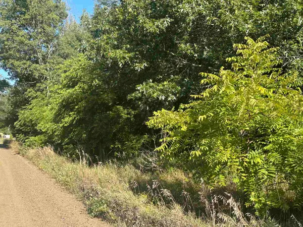 Lots 26-30 Willow, Lake, MI 48632