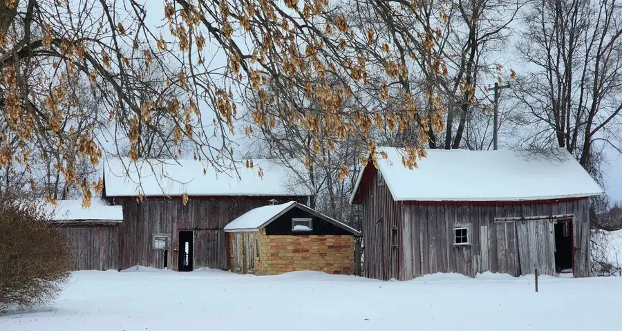 4893 N Winans, Alma, MI 48801 - Image #3