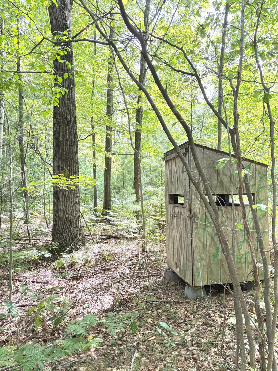 N Leaton RD, Denver, MI 48858 - Image #2