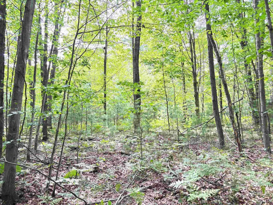 N Leaton RD, Denver, MI 48858 - Image #3