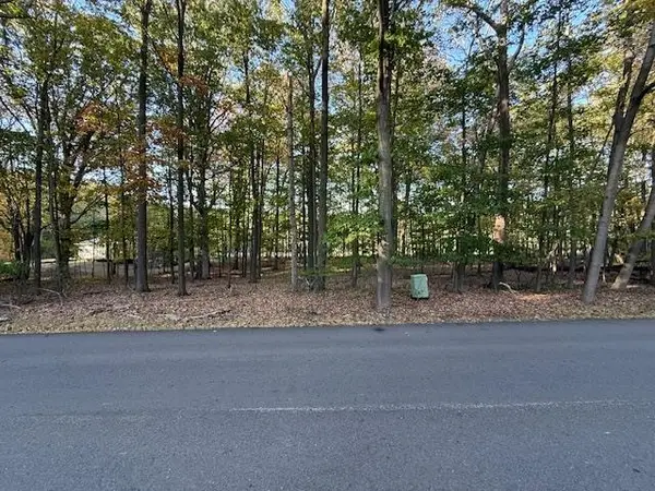 TBD Hiawatha DR, MtPleasant, MI 48858