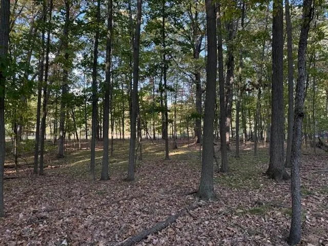 TBD Hiawatha DR, Deerfield, MI 48858 - Image #2