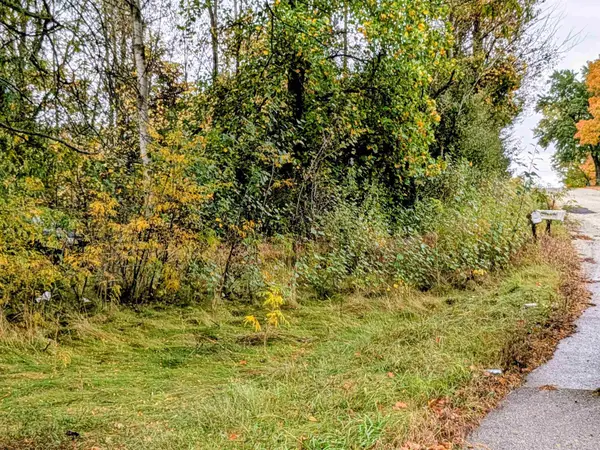 2495 W Blanchard RD, MtPleasant, MI 48858