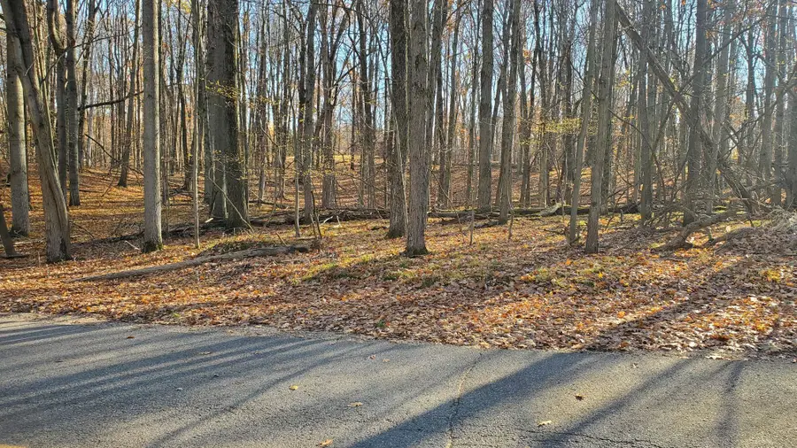 9815 Lost Canyon DR, Stanwood, MI 49346 - Image #2