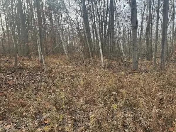 TBD West Shore DR, Weidman, MI 48893