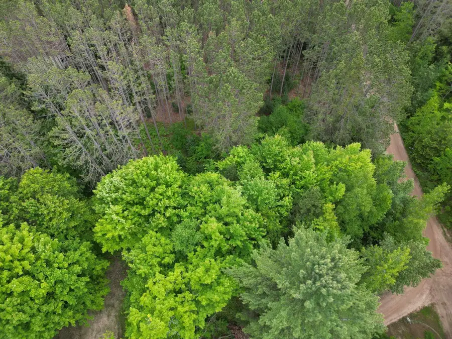 TBD Wintergreen, Farwell, MI 48622 - Image #3