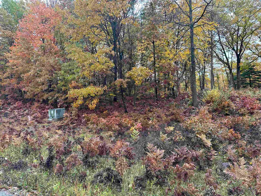 Lot #5 N Circle E, Farwell, MI 48622 - Image #3