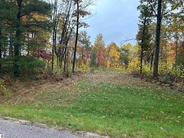 Lot #6 N Circle E, Farwell, MI 48622 - Image #2