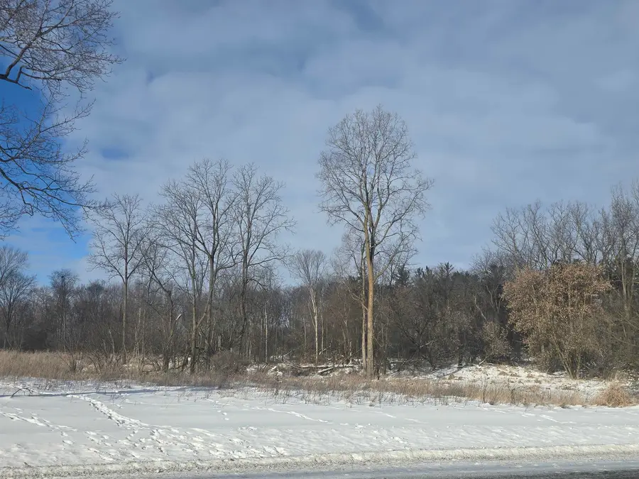 S Pine River, Ithaca, MI 48847 - Image #3