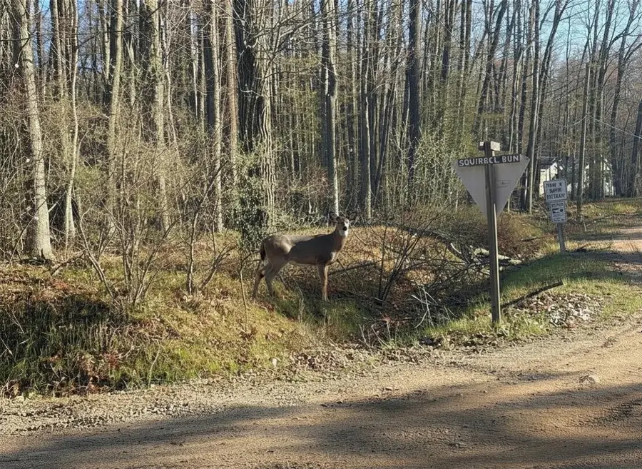 Lot 40 Squirrel, Farwell, MI 48622 - #3