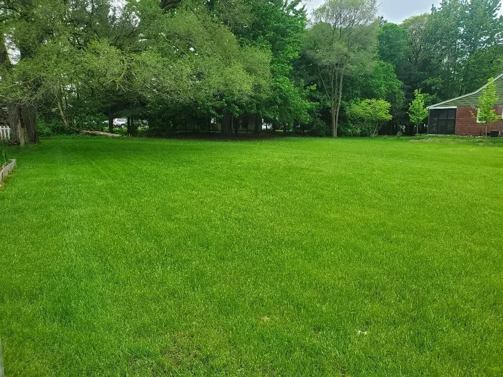 1616 E High, Mount Pleasant, MI 48858 - #1