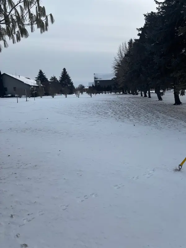 2135 E Pickard RD, MtPleasant, MI 48858