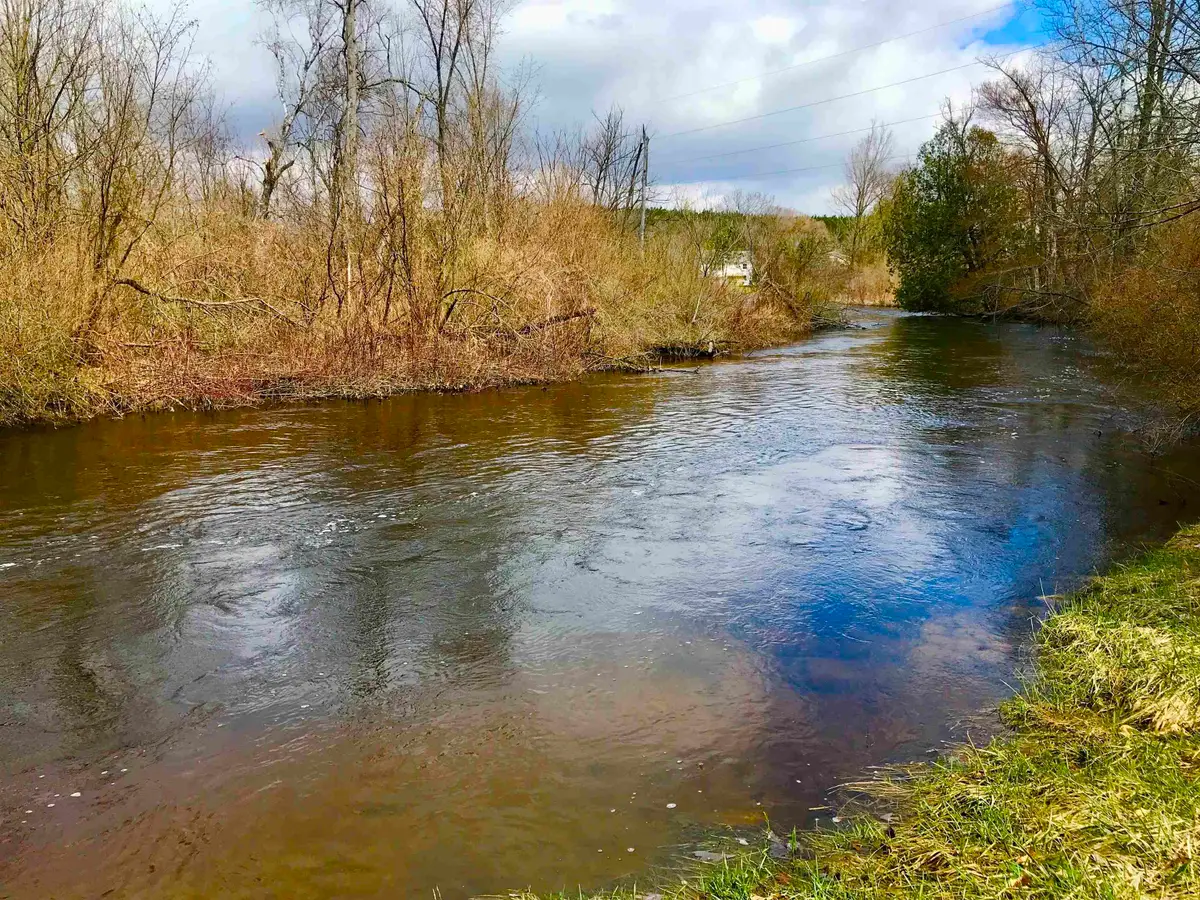 1041 & 1043 Bonanza, Weidman, MI 48893 - #1